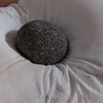 Steve Carr, Cock, 2005