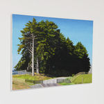 Dick Frizzell, Dark Tree, 2025