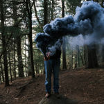 Steve Carr, Invisibility Shields 6, 2025