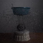 Steve Carr, Cock, 2005