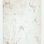 Elizabeth Blackadder, Japanese Still Life, 1986