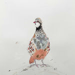 Anna Wright , Velvet Rabbit