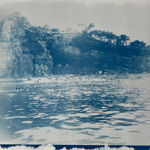 Georgia Merton, Misty Morning