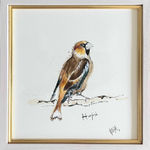 Anna Wright , Velvet Rabbit