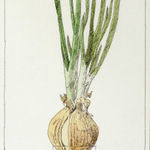 Nikita Alekseev, TOWELS. MEMORIES OF SUMMER (Sheet 13) • ПОЛОТЕНЦА. ВОСПОМИНАНИЯ О ЛЕТЕ (Лист 13), 2003