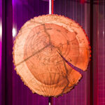 Saskia Noor van Imhoff, sketch (Amsterdam/Mirns), 2024