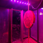 Saskia Noor van Imhoff, sketch (Amsterdam/Mirns), 2024