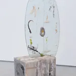 Heidi Norton, Ellipse with Nitrogen Fixers, 2014