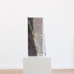 Letha Wilson, Zion Canyon Palms Slice Steel, 2019