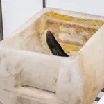 Charles Avery, Untitled (Market Stand), 2023