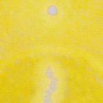 Anders Davidsen, Dagens ånding, 2025