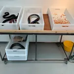 An image of a table filled with white plastic containers that contain glass eels.