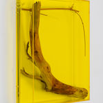 wall mounted sculptural piece consisting of Plexiglass, wood and bamboo twig