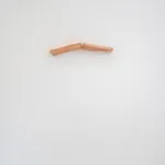 Lucy Skaer, Hare, 2018/2022