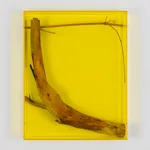 Saskia Noor van Imhoff, Second treatment, 2021