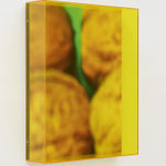 Snvi21006 Saskia Noor Van Imhoff Noix Patch Part 03 2021 Copy