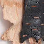 Lucy Skaer, Good and Bad, 2021