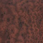 Anders Davidsen, the hissing of seeds, 2024