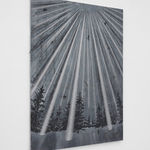 Michael Raedecker, false real, 2025