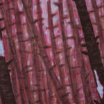 Robert Zandvliet, Paradaidha Pons, 2023