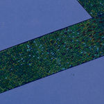 Wardha Shabbir, Narratives Of Colours, 2022