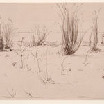 Elisabeth Deane, The Sun (Aten), 2019