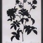 Ruby Chishti, A Thousand Flowers: Lost and Preserved ll, 2021