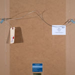 Jamini Roy, Untitled (Studies)