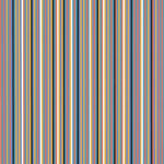 Bridget Riley, Silvered 2, 1981
