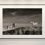 James Lewin, Queen Of The Shadows, 2023