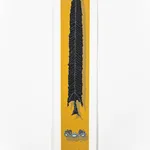 Alex Ziv, Rise with the Sun, 2020