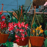 Detail image of painting