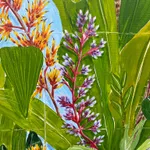 Natalia Juncadella painting of tropical plants detail