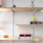 shelves with assorted books, sculptures and lamp