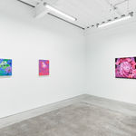 Megan Ellen MacDonald, Thick Skin, 2024