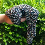 Dan Lam, Mind Melter, 2019