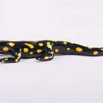 Katie Kimmel, Precious Mayo, 2020