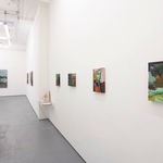 Install photo from Seonna Hong's solo exhibition Cognitive Dissonance