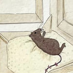 detail image of a rat laying down eating food