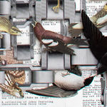 Hope Kroll, L'Imposteur, 2019