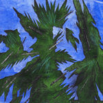 close up of palm trees on a dark blue background