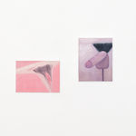 Corey K. Lamb - stylized, pink vulva and penis