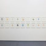 Photograph of Michael McGregor's drawings installed at the New York gallery space