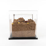 Abigail Goldman, Your Cats Will Eat You, 2019