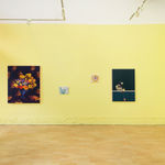 installation photo of Francisco Diaz Scotto's artwork