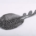 Katie Kimmel, Precious Mayo, 2020