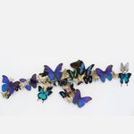 Bran, Explosively delicate, 2021