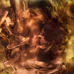 Camille Hannah, Excesses, 2017