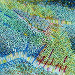 Ilhwa Kim, The Spectrum of Green