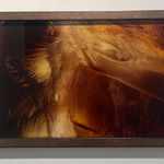 Camille Hannah, Excesses, 2017